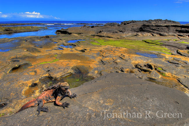 Galapagos Photo Safari aboard OceanAdventures M/V Eclipse