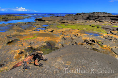 Galapagos Photo Safari aboard OceanAdventures M/V Eclipse