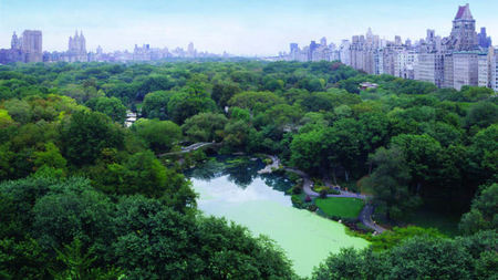 Luxury New York Hotel, The Plaza, Celebrates Central Park