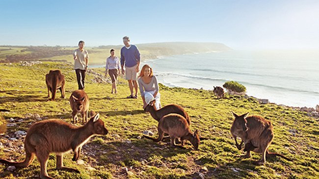 Self-Drive in Stunning South Australia