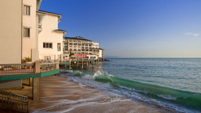 Up Close and Personal with the Ocean's Bounty on Cannery Row, Monterey Bay