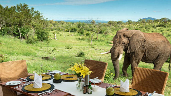 Top 3 Exotic Christmas Experiences in Africa