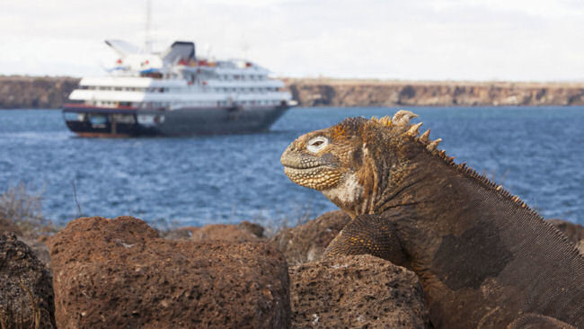 Silversea's New Galapagos Itineraries Set Sail