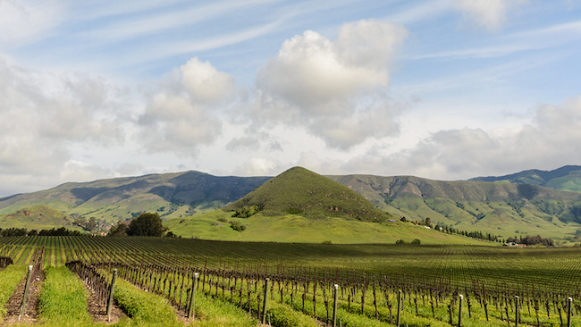 San Luis Obispo's Tolosa Wines Imbue a Tangible Sense of Place