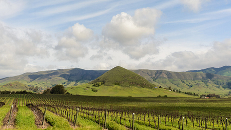 San Luis Obispo's Tolosa Wines Imbue a Tangible Sense of Place