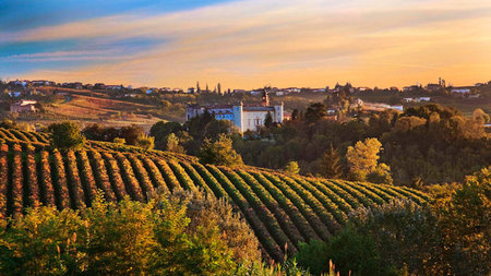 Top 5 Destinations to Put on Your Travel Bucket List if You Love Wine