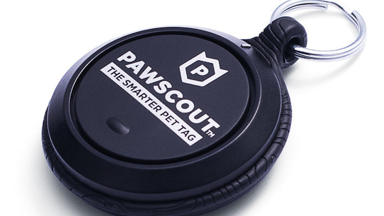 Pawscout: The Smarter Pet Tag