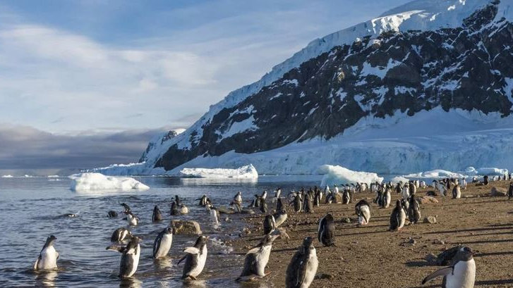 Hurtigruten Offers Free Flights to Antarctica
