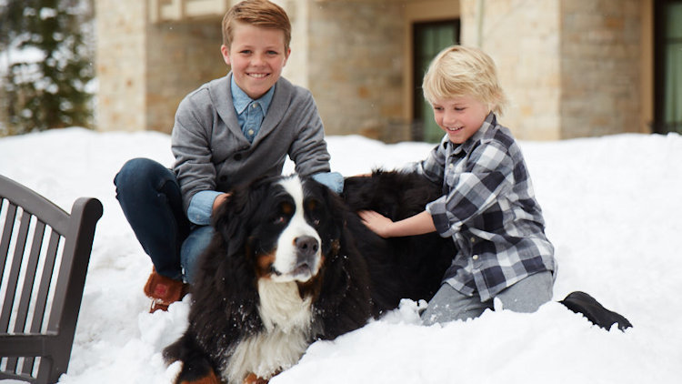 Montage Deer Valley Offers the Perfect Pup-cation Destination