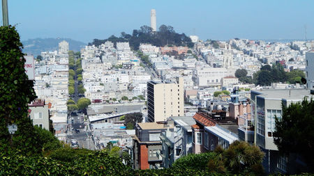 Halfway to the Stars: San Francisco Highlights