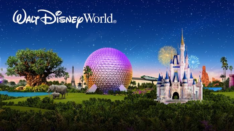 Top 15 Attractions at Disney World 