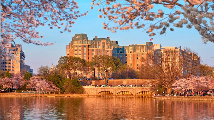 Mandarin Oriental, Washington DC Partners with Michelin-Starred Chef Aaron Silverman