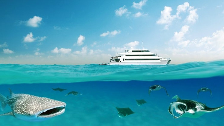 Luxury Liveaboard Returns to Maldives for Exclusive Seasonal Cruises