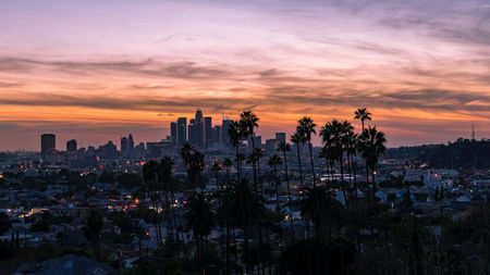 What You Should Not Miss in the City of Angels