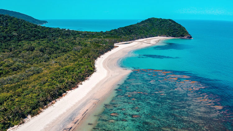 Don't Let These 3 Palm Cove Attractions Fly Under Your Radar