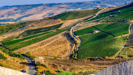 How to Experience Sicily and Puglia's Harvest Season in Luxury 