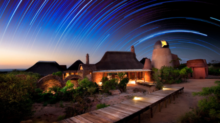 Wish Upon a Shooting Star on Safari