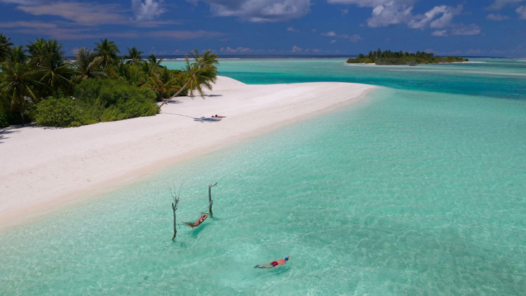 Dive Into World Oceans Day 2022 in the Maldives