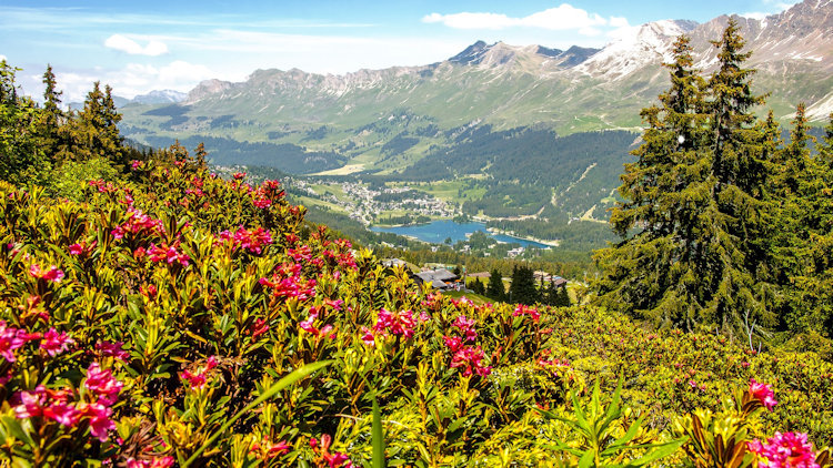 Graubunden, Switzerland: An Exhilarating Place to Visit this Summer