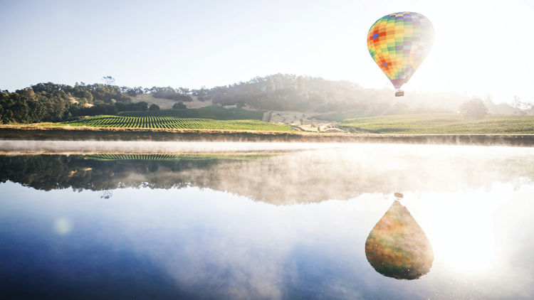6 Must-do Things if You’re Visiting Napa Valley
