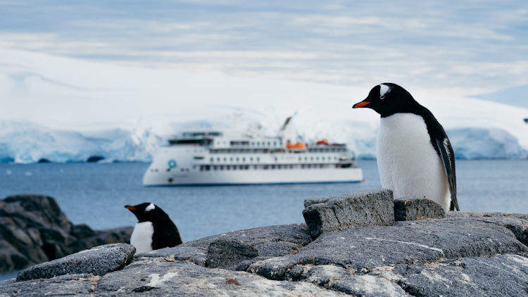 Antarctic Adventure of a Lifetime with Aurora Expeditions