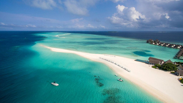 Swim with the World’s Largest Known Population of Mantas at Four Seasons Resort Maldives at Landaa Giraavaru