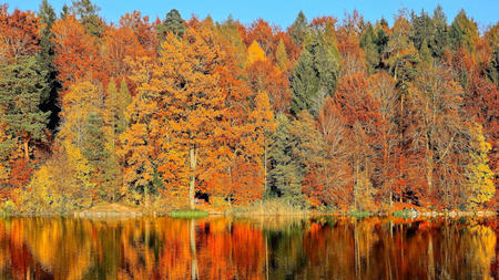 Travel Destinations to Visit to Embrace Autumn
