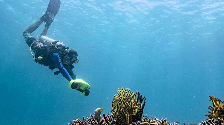Explore Underwater Beauty with a Sea Scooter on Your Vacation