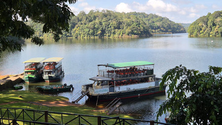 A Visit to Southern India: Tranquil backwaters, soaring Hindu temples, tea plantations...