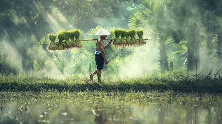 Beyond the Tourist Spots: Discovering Authentic Traditions and Local Stories