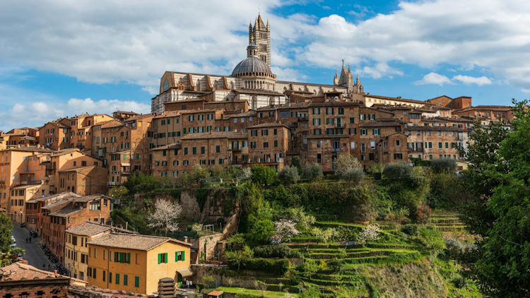 Red Savannah Launches Exclusive 2026 Palio di Siena Experience