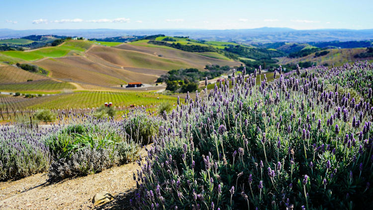 How to Plan a Perfect Getaway Filled With Flavor and Scenery