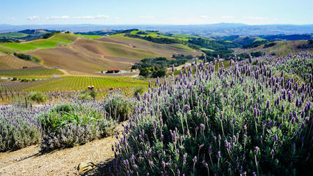 How to Plan a Perfect Getaway Filled With Flavor and Scenery