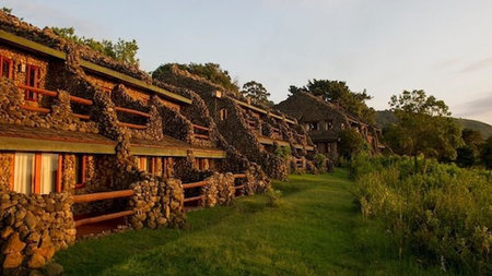 Magic of the Wild: Kenya and Tanzania Safari Adventure: Wild Heart beat in Africa