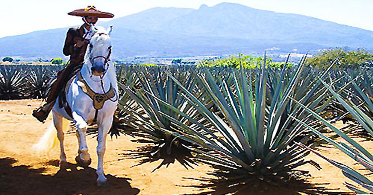 From Tequila by Helicopter to Arctic Ice Caves: The Rise of Experiential Luxury Travel