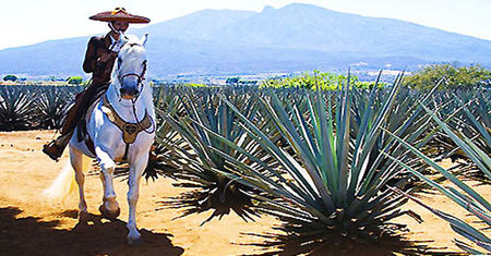 From Tequila by Helicopter to Arctic Ice Caves: The Rise of Experiential Luxury Travel