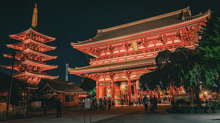 Luxury Japan Private Tours: Exclusive Experiences for Discerning Travelers