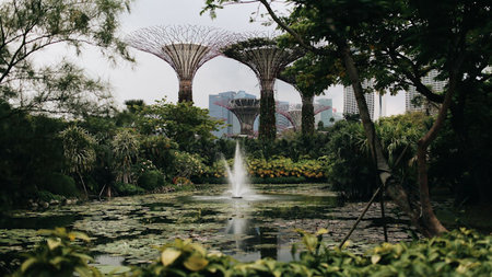 Botanical Traditions of Southeast Asia: What the Region's Wellness Heritage Offers the Luxury Traveler