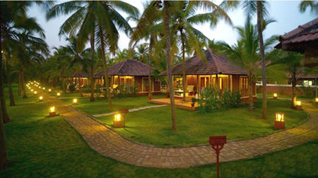 Whispering Forests & Sacred Rivers: India’s Best Luxury Wellness Retreats