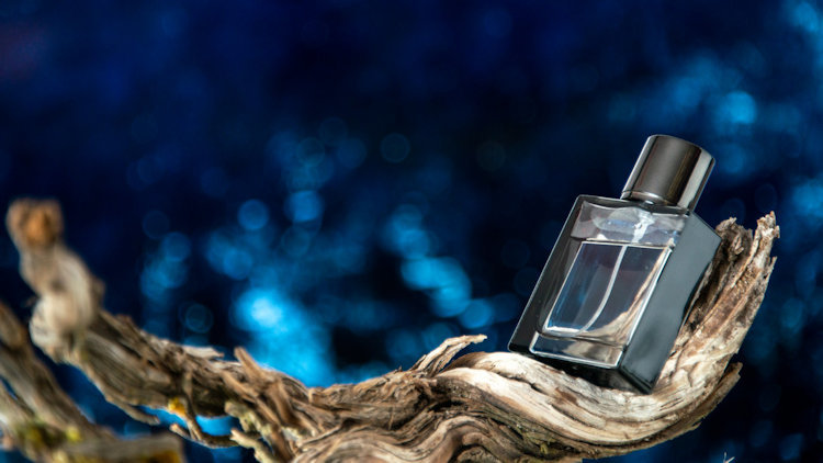 Winter Fragrances for Men: The Rabanne Guide to Cold-Weather Scents