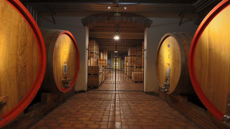 Inside Scarpa 1900: A Private Members' Club Built Around the Caveau, Not a Subscription