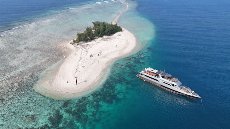 Beyond the Beaten Path: How to Stay Connected on Remote Luxury Adventures with Starlink