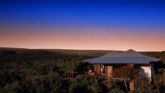 Animal Magic at Kwandwe Private Game Reserve, South Africa