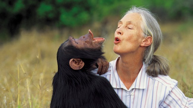 Once-in-a-Lifetime Trip to Africa Features Dr. Jane Goodall & National Geographic Photographer