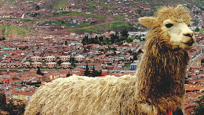 Tauck Launches New Tauck Bridges Family Tour of Peru