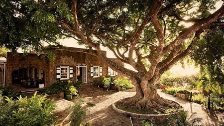 Discover the New You this New Year at Montpelier Plantation & Beach