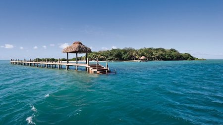 Fiji's Dolphin Island Offers Fabulous Luxury Travel Deal