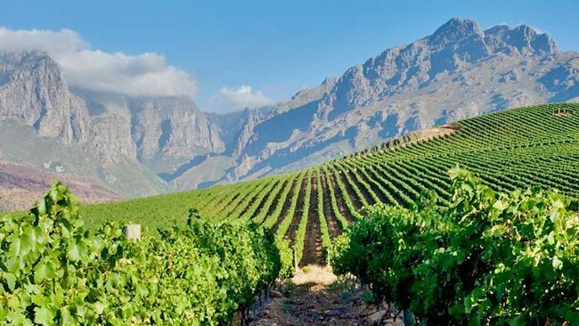 The Homestead: Luxury Winefarm Villa in South Africa