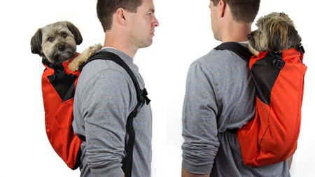Plan a Trip with Your Pet with K9 Sport Sack 