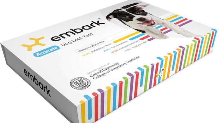 Give Your Pet the Gift of Identity with Embark Dog DNA Test
